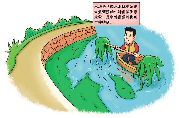 水知识 | 水华、赤潮、水体富营养化有什么区别？