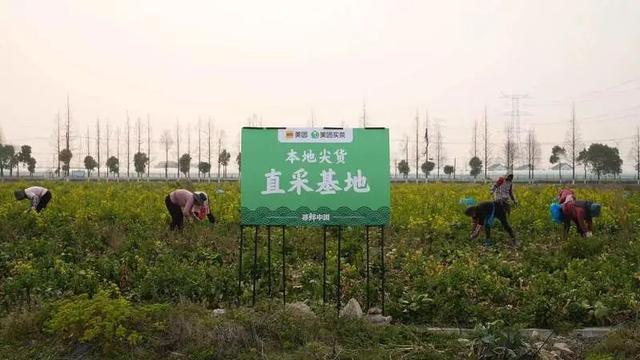 最新调查：上海人最爱的春菜是它们，每人至少吃掉10斤！有超市卖河豚，不会中毒吗？