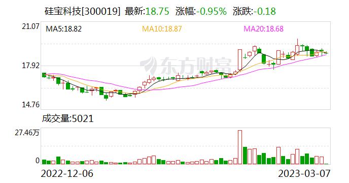 硅宝科技：公司纳米硅粉目前暂不对外销售