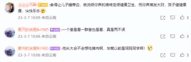 宝爸在猪圈给孩子搭床位，边养猪边带娃，当事人：虽然辛苦但能陪孩子，孩子也喜欢跟猪玩