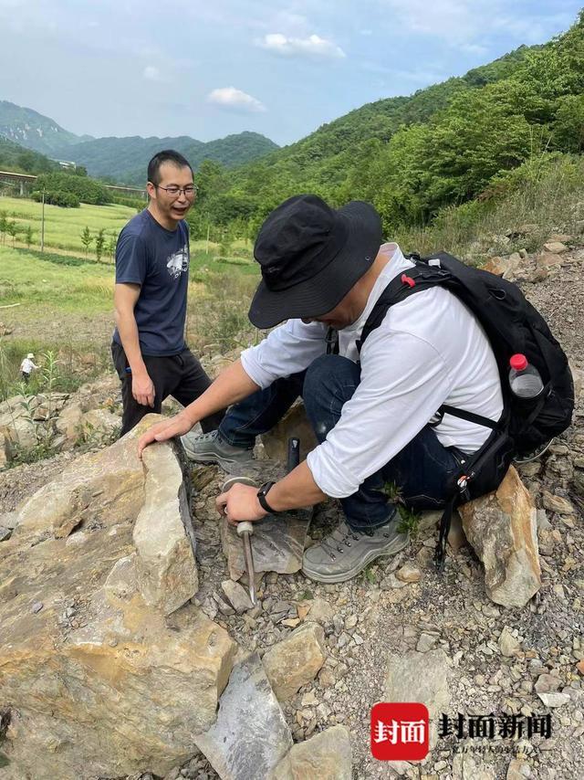 成都彭州发现两亿年前龟类游泳遗迹 这里很可能生活着原始龟类大家族的一员