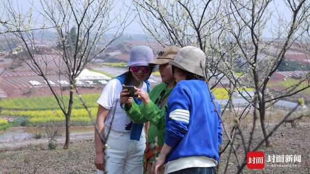 四川荣县乐德红土地“红”出圈 成都眉山等地游客纷纷来打卡拍照买土特产