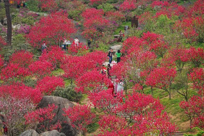 大美中国·壮美广西0307丨春到人间桃花艳