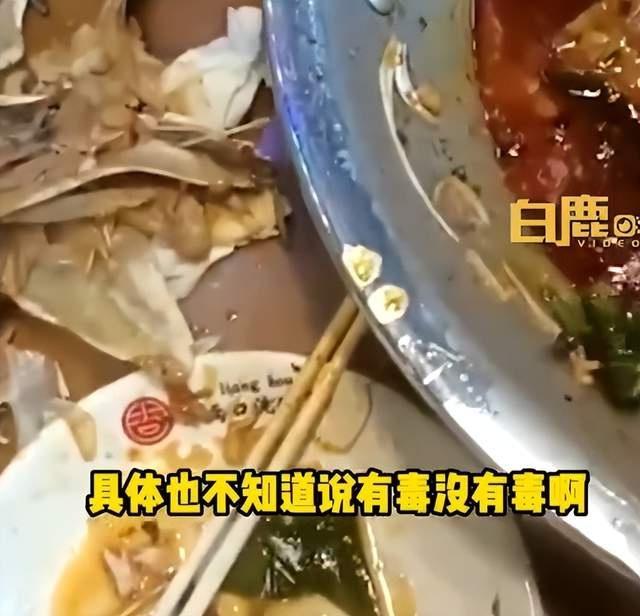 饭店收桌发现顾客薅绿萝盆栽涮火锅，老板：店里一盆绿萝快被薅秃了，问了顾客身体没吃出问题