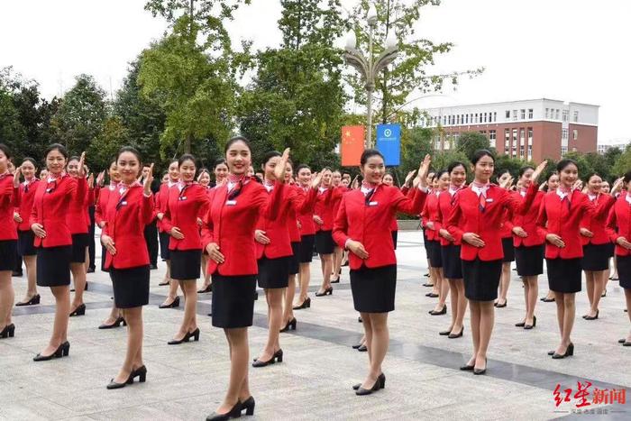 民航市场回暖，多家航司招聘忙！航空职校：空乘专业预计对口就业率增长20%