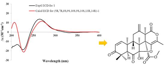 推荐阅读 | 小分子化合物结构确证经验总结