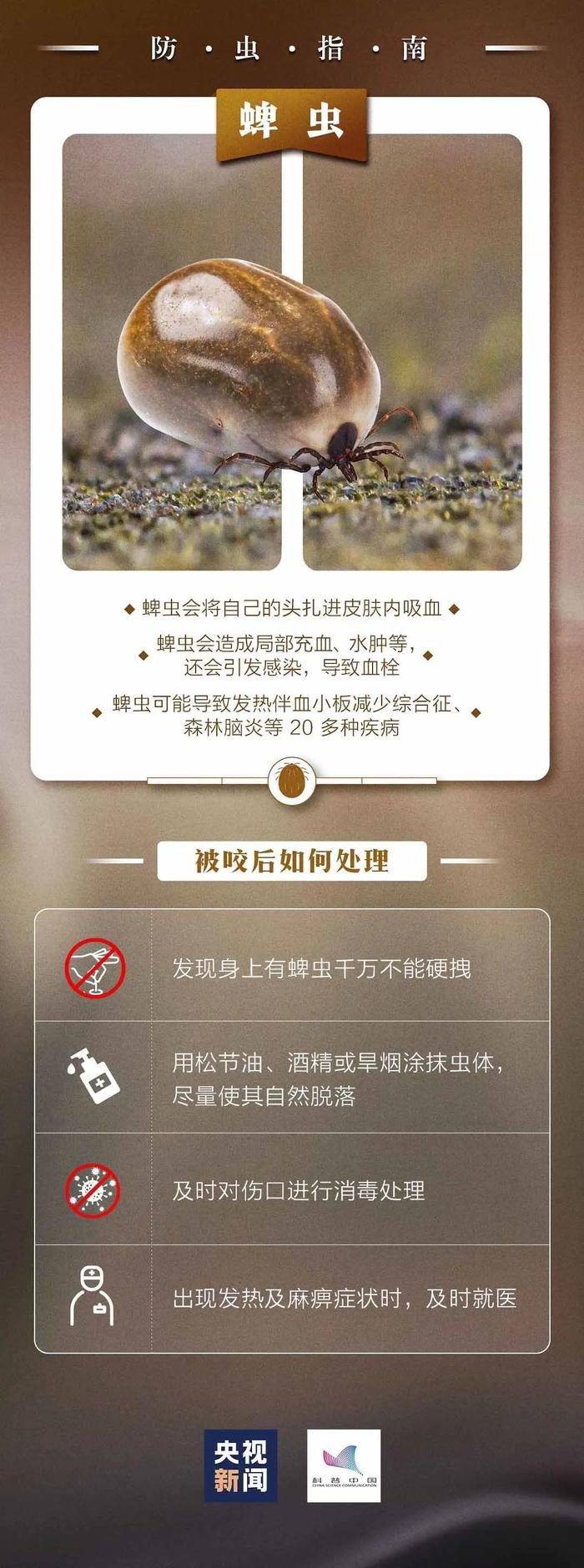 看到下面这种小红土堆一定要远离！广东已有公园出现，严重可致命……