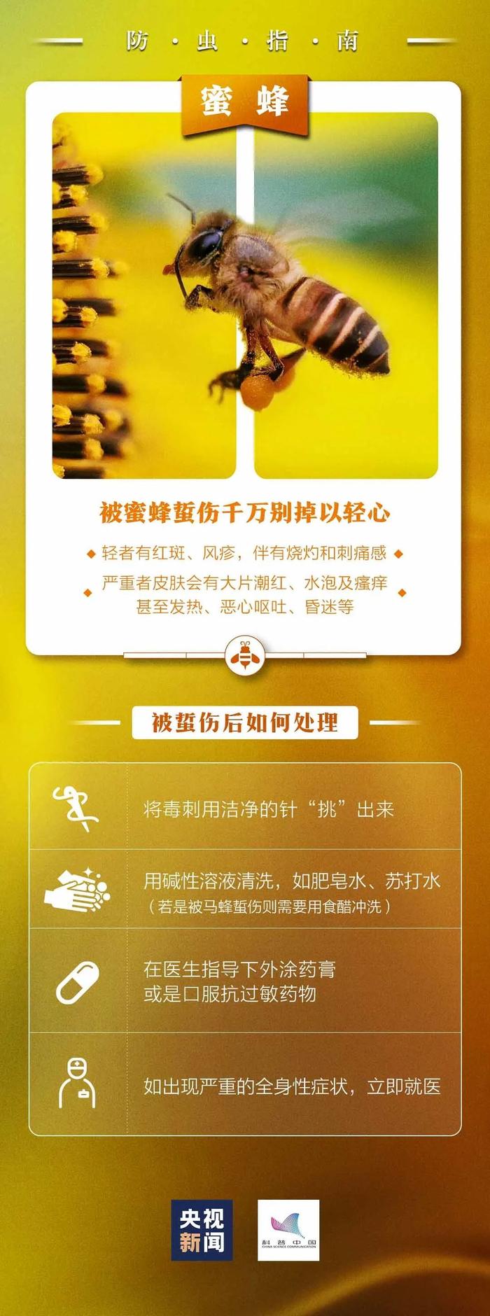 看到下面这种小红土堆一定要远离！广东已有公园出现，严重可致命……