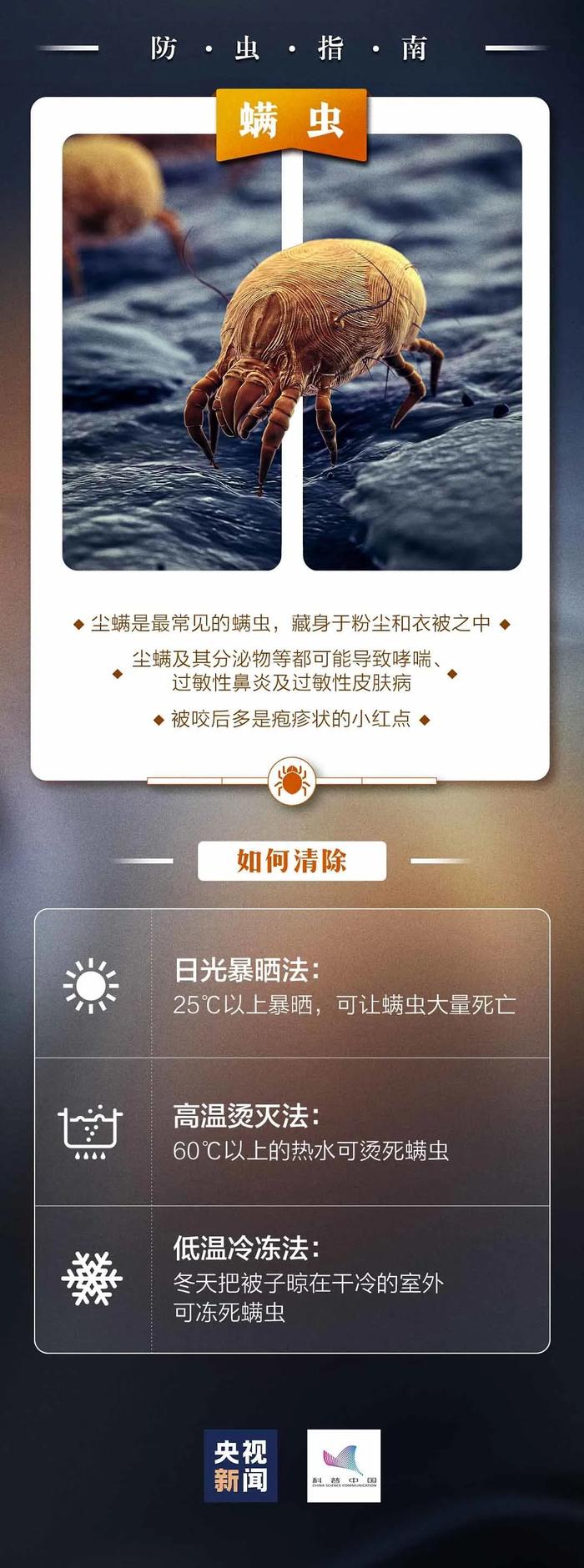 看到下面这种小红土堆一定要远离！广东已有公园出现，严重可致命……