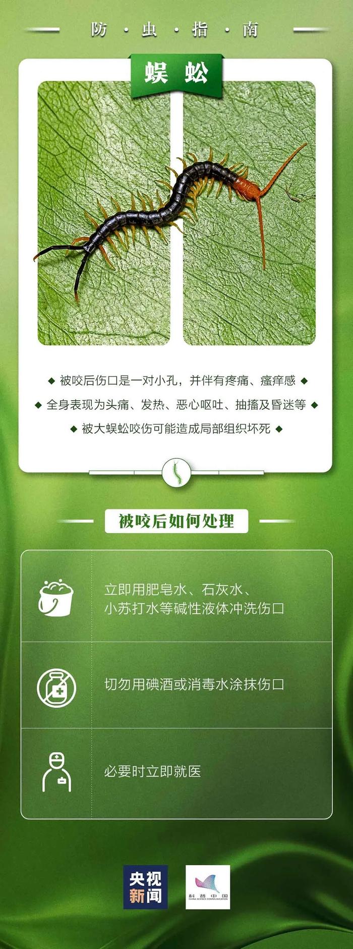 看到下面这种小红土堆一定要远离！广东已有公园出现，严重可致命……