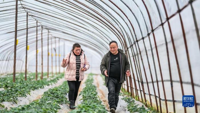 代表风采录｜李世瑶：把推动农业现代化的论文写在大地上