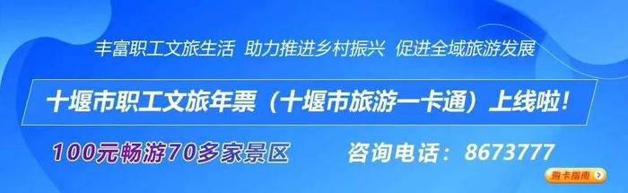 主要景点全覆盖！十堰开通10条专线！