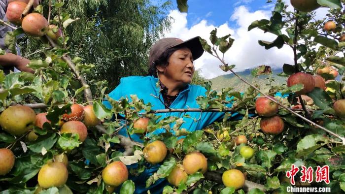 李实：中国缩小贫富差距，对世界意味着什么？| 东西问·两会