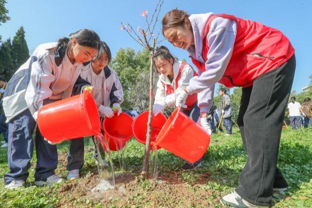 浙江德清：义务植树忙