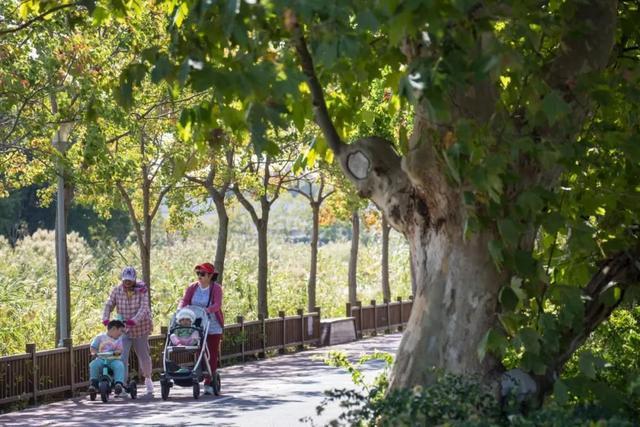 踏青好去处！新泾镇向居民发布春日行走/骑行路线地图