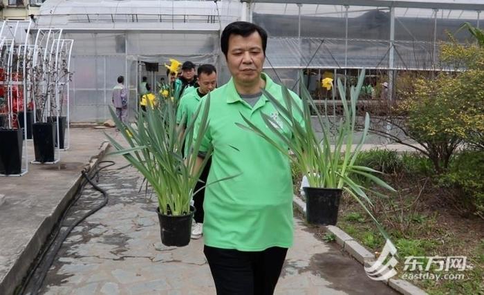 厚植生态文明 上海宏康医院“白衣天使”为城市添新绿