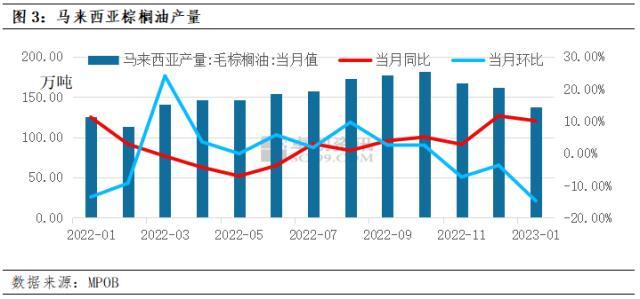 油脂有“料” | 棕榈油价格还能涨吗？