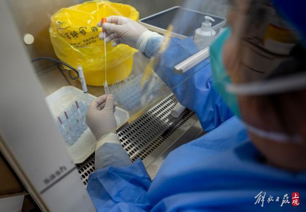 30分钟出结果，上海社区医院引入甲流、乙流检测试剂盒
