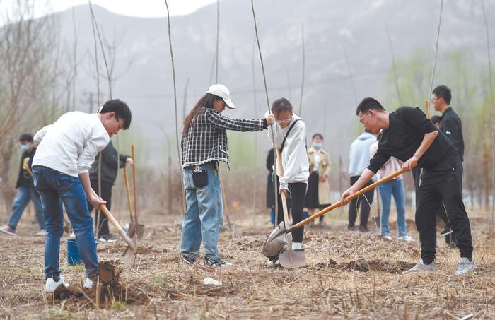 春回大地万物苏 植树添绿正当时