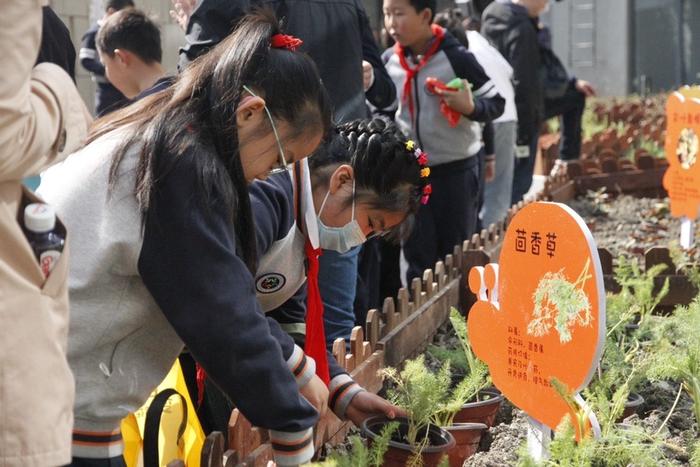 感受中国文化的博大精深 虹口“本草中华·百草园”德育科普基地落成