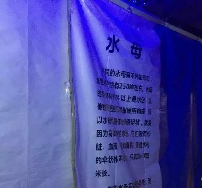 “海洋馆”还没客厅大？游客进去一看，懵了...网友：还不如去海鲜市场