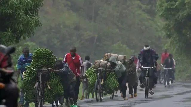 世界最穷国：一辈子没见过肉，自行车是豪车，人均收入95元，还禁止跑步...