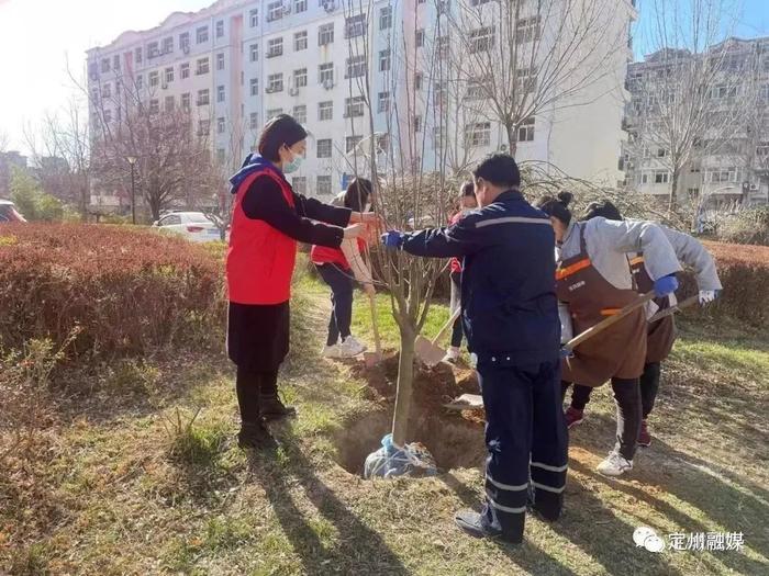 趁着春光多种树，党员干部、乡贤纷纷捐树，为家乡添绿！