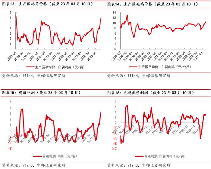 中邮·农林牧渔|周观点：猪价上涨趋缓，白羽鸡产业链持续超预期