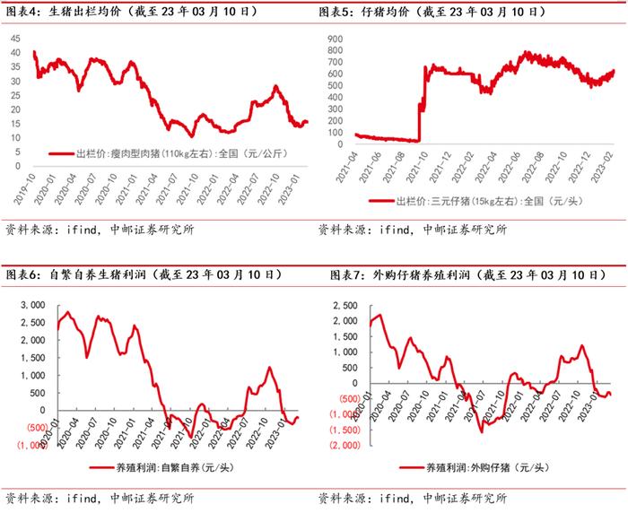 中邮·农林牧渔|周观点：猪价上涨趋缓，白羽鸡产业链持续超预期