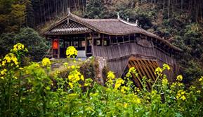 廊桥看“浙”里丨景宁大赤坑廊桥：历沧桑风雨 坎坷变坦途