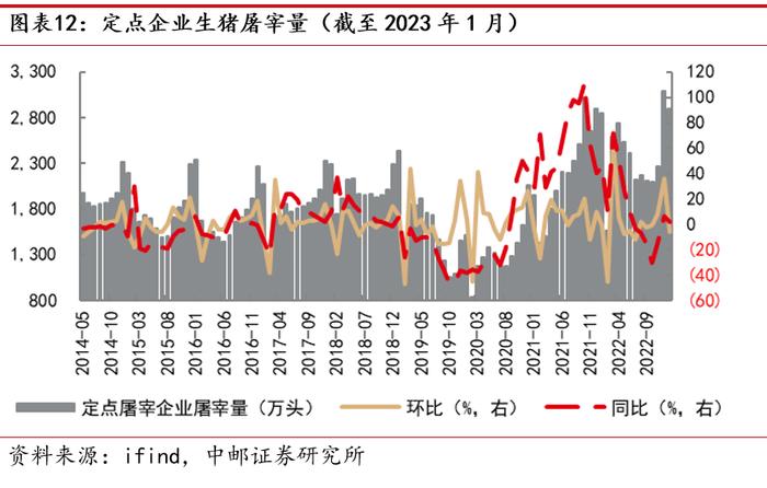 中邮·农林牧渔|周观点：猪价上涨趋缓，白羽鸡产业链持续超预期