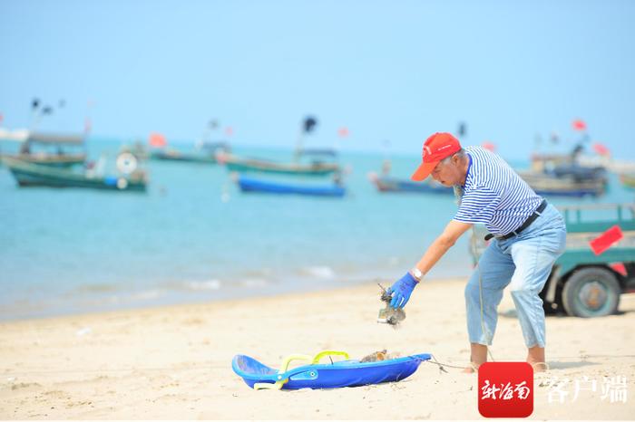 汪敏江：86岁“候鸟”老人持续3年在海边捡垃圾获赞