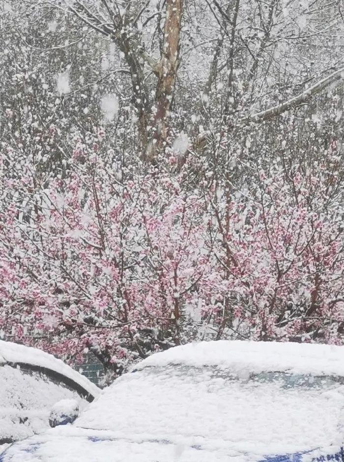 暴雪太猛，多地发布红色预警！当地人凌乱了：昨天28℃穿短袖，今天找秋裤