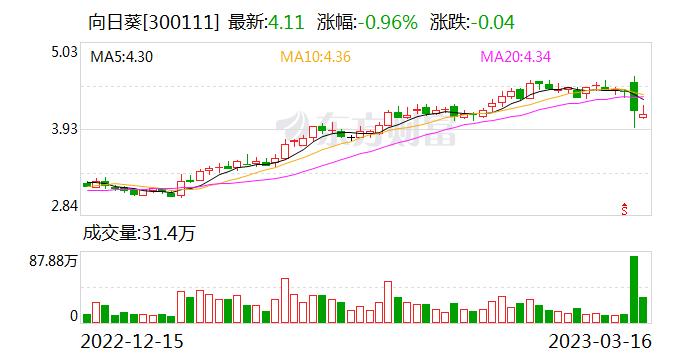 拟投资15亿“追光” 向日葵被深交所追问资金来源