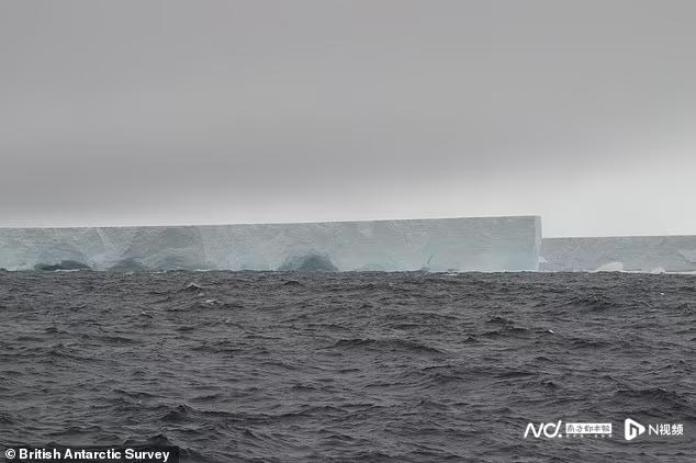 大如伦敦的巨大冰山从南极冰架断裂，或危害航运、渔业和生态