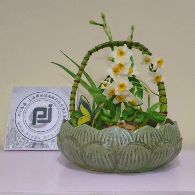 松江中小学师生这回出名了，他们的水仙花雕刻造型作品获奖数和获奖率均居全市第一