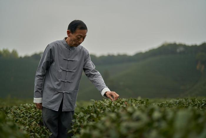 非遗传承大师樊生华推荐，古茗爆款龙井系列4月将回归