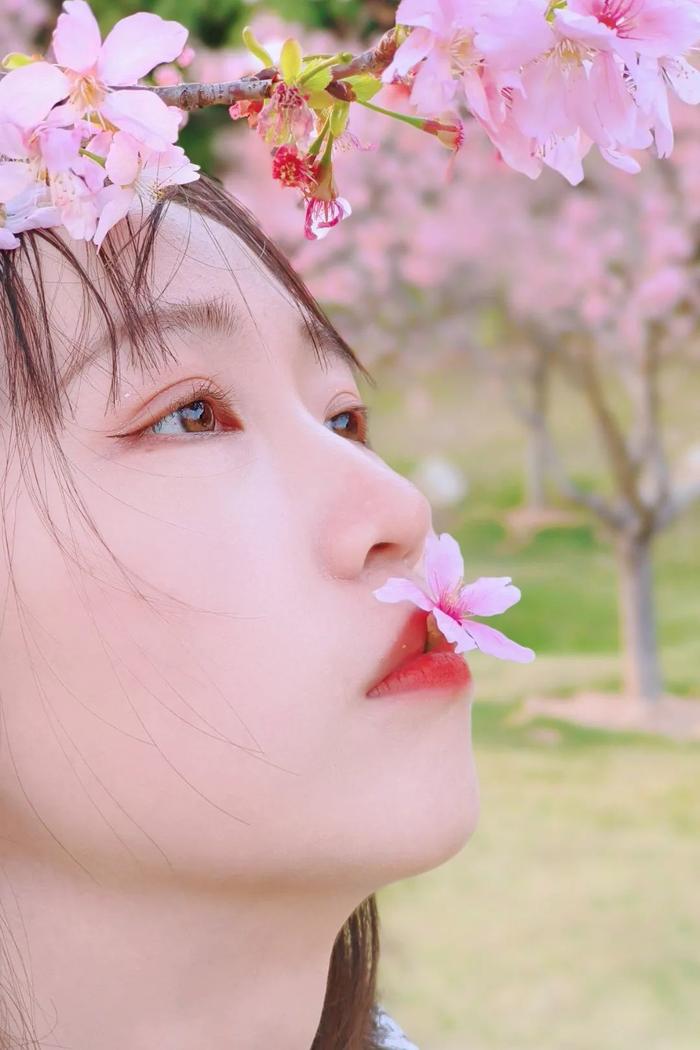 🌸仰拍 🌸