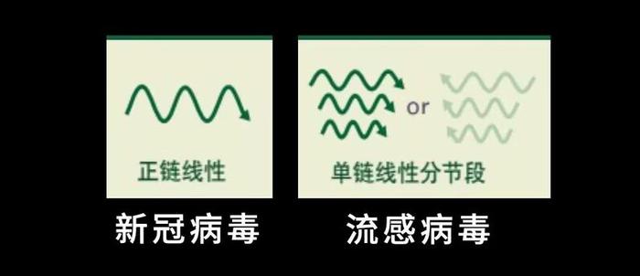 这个中国研究团队是世界上发现全新病毒最多的团队，他们是怎么发现病毒的