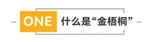 2022凤凰美食盛典金梧桐中国餐厅指南发布｜遇园·慧再度摘星！