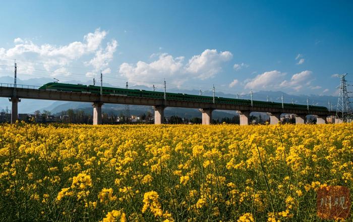 C视频丨搭乘“开往春天的列车”，穿越大凉山油菜花海