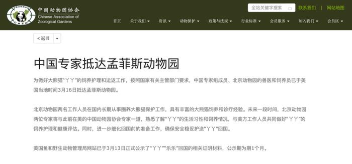 提醒！这样停车会被“抄牌”！已有车主被罚丨早安，肇庆