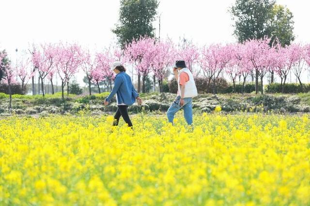 三月春花渐次醒，松江这些地方的春色不容错过！