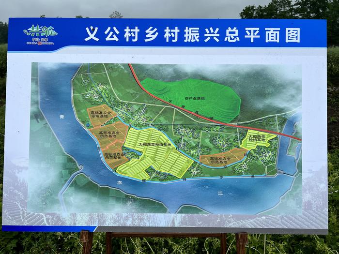 眉山洪雅：集民智共参与 乡村振兴在“路”上