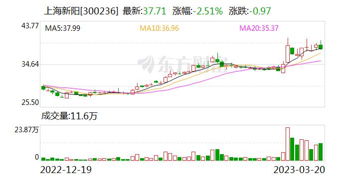 上海新阳：连续10日融资净买入累计9865.92万元（03-20）