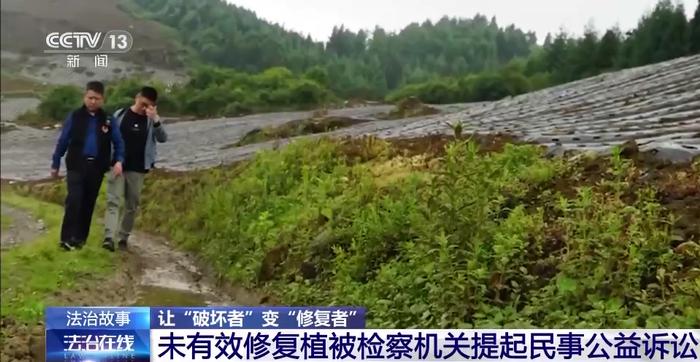 让“破坏者”变“修复者” 检察机关用司法手段保护生态环境