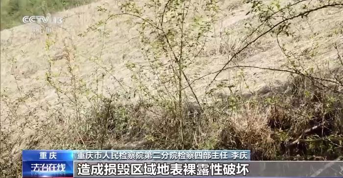 让“破坏者”变“修复者” 检察机关用司法手段保护生态环境