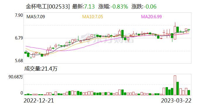 金杯电工：公司产品主要为扁电磁线、电线电缆 未开展海缆业务