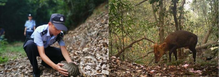 浙江衢州发布国内外首个绿色金融支持生物多样性保护地方标准