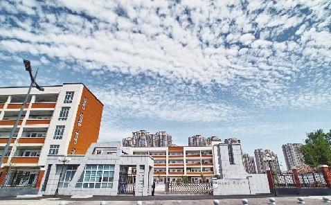 洛阳伊滨这所新兴学校    五年拔节生长背后的“闯”与“拼”